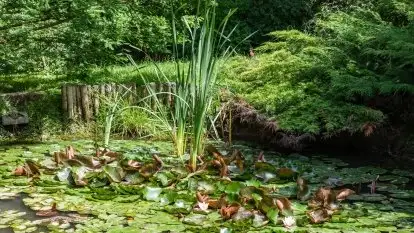 Nowa galeria - zdjęcie 68