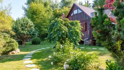 Nowa galeria - zdjęcie 20