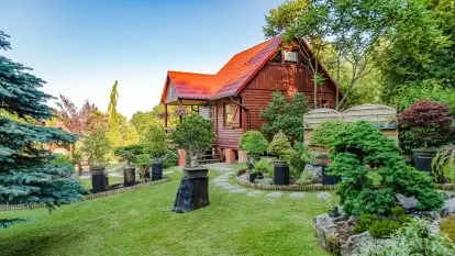 Nowa galeria - zdjęcie 3