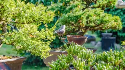 Nowa galeria - zdjęcie 24