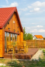 Nowa galeria - zdjęcie 12