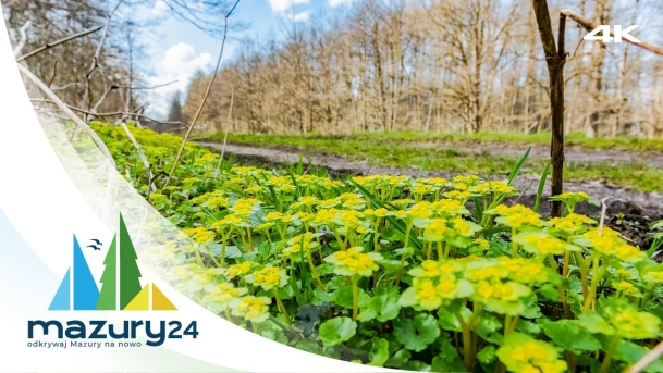 Mazurska przyroda - Atak Wiosny 2023, 4K