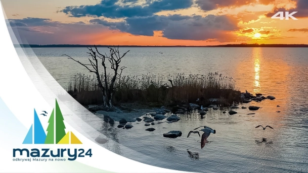 Wiosenne Mazury, maj 2023 - Flora i Fauna, 4K