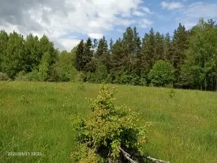 Działki budowlano-rekreacyjne - zdjęcie 5