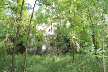 Nieduże poniemieckie siedlisko, 5 km od Karwicy i jeziora Nidzkiego - zdjęcie 12