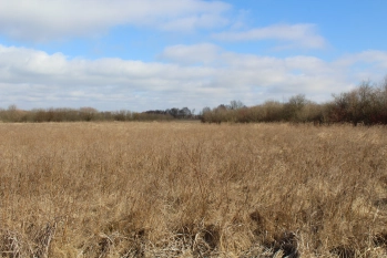 Działka rolna 4442 m2 blisko jeziora Białoławki - zdjęcie 12
