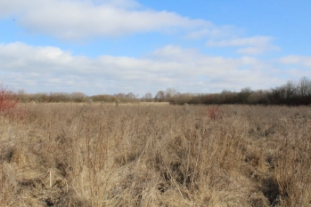 Działka rolna 4442 m2 blisko jeziora Białoławki - zdjęcie 6