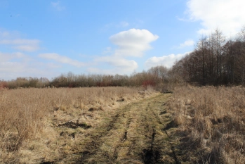 Działka rolna 4442 m2 blisko jeziora Białoławki - zdjęcie 5