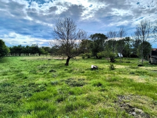 Działka siedliskowa w Zabielne 4 km od jeziora Roś - zdjęcie 8