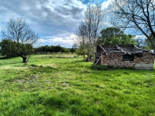Działka siedliskowa w Zabielne 4 km od jeziora Roś - zdjęcie 7
