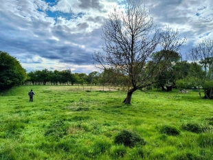 Działka siedliskowa w Zabielne 4 km od jeziora Roś - zdjęcie 4