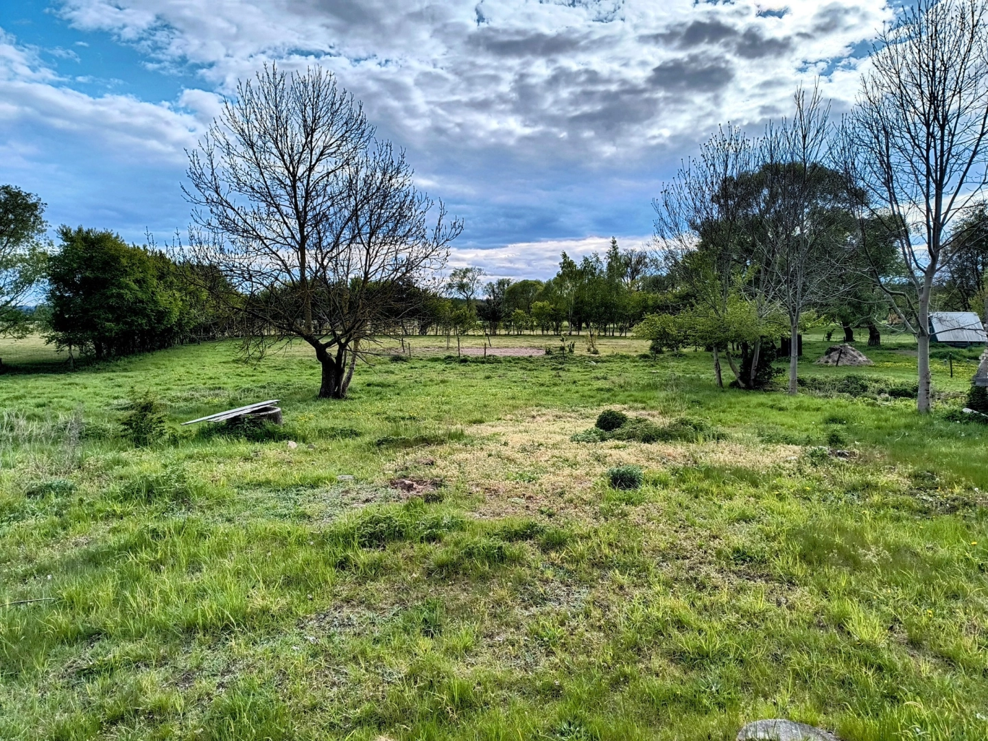 Działka siedliskowa w Zabielne 4 km od jeziora Roś