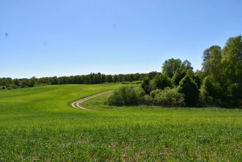 Działka rekreacyjna w Świętajnie powiat Olecki - zdjęcie 2
