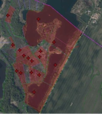 DZIAŁKA 29 ha GRZYBINY, DZIAŁDOWO, NIDZICA - zdjęcie 13