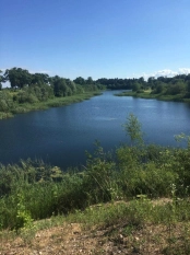 DZIAŁKA 29 ha GRZYBINY, DZIAŁDOWO, NIDZICA - zdjęcie 11