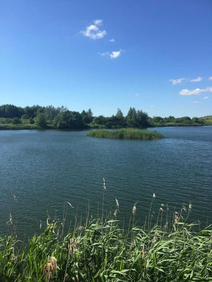 DZIAŁKA 29 ha GRZYBINY, DZIAŁDOWO, NIDZICA