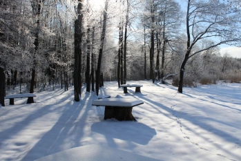 Działka rekreacyjna w Karwiku j. Seksty - zdjęcie 15
