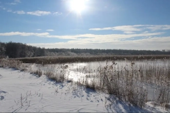 Działka rekreacyjna w Karwiku j. Seksty - zdjęcie 12