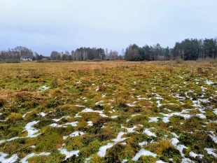 Działka rekreacyjna w Karwiku j. Seksty - zdjęcie 6