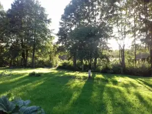 MAZURY 2 APARTAMENTY 4-osobowe nad jeziorem Miłki koło Giżycka - zdjęcie 16