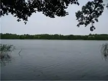 Działka z linią brzegową