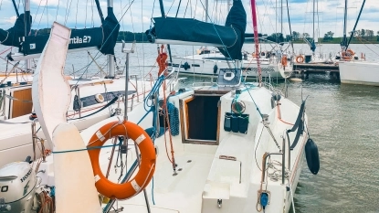 HORNET 29