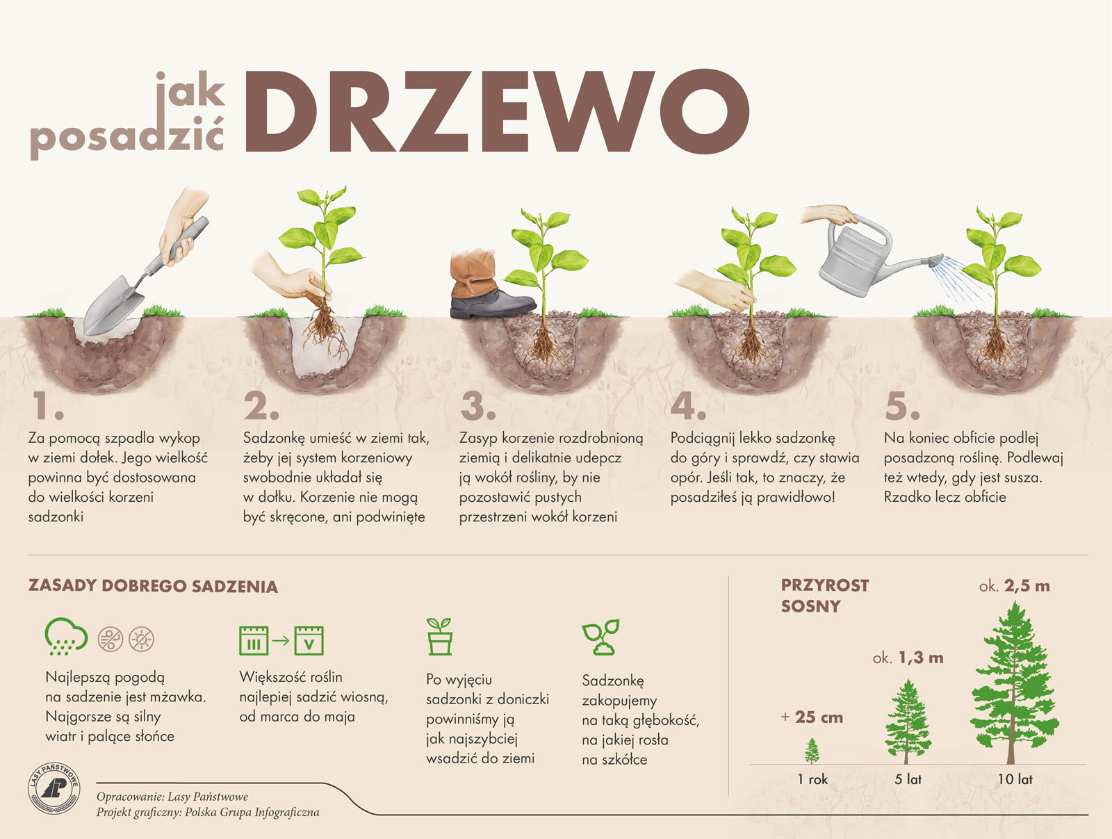 Trwa piąta edycja akcji #sadziMY. Sadzonki są dostępne również na Mazurach